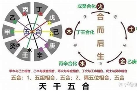 甲木 乙木|八字五行性质分析之甲乙木 八字中甲乙木详解